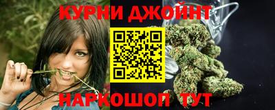 амф Обь